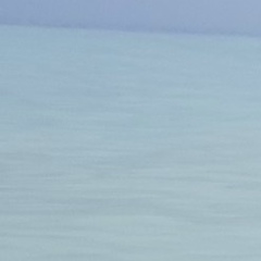 Марина Брусенцева, 08.12, Орёл