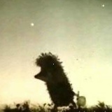 Кати Денисова, 22.03.1982, Санкт-Петербург