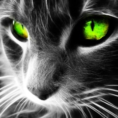 Маргарита Ихсанова, 17.03.1982, Москва