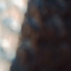 Дамир Насыров, 20.07, Алматы