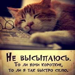 Оля Ля, Евлах