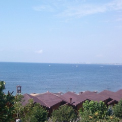 Алекс Ломов, 06.07, Поворино