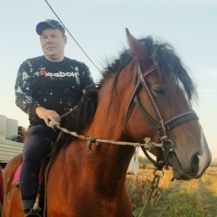 Ренар Джедаев, Подольск