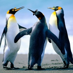 Андрей Рукавишников, 14.07.1987, Евпатория