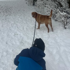 Natalia Dergaeva, Hamburg