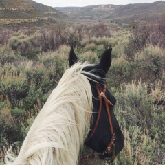 Nazik Ryskulbek, 05.10, Алматы