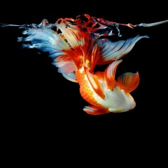 Елена Латыпова, Казань