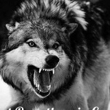 Sadaddin Baliyev, 03.12.1997, Баку