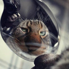 Игорь Викторович, 20.06