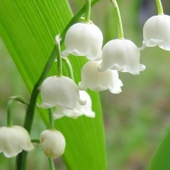 Карина Казахстан, 11.09, Алматы