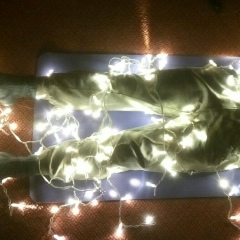 Денис Хорев, 30.10.1990, Санкт-Петербург