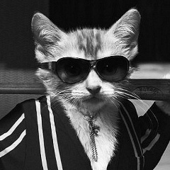 Петя Боровик, Москва