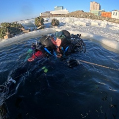 Евгений Гореликов, 29.11.1988, Новосибирск