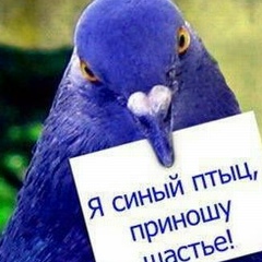 Елена Васильева, 20.06, Москва