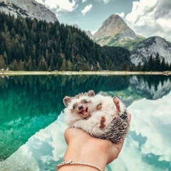 Jadyra Ikram, 04.06.1995