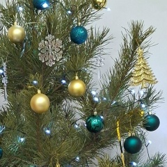 Асемгуль Касенова, 06.08.1978, Павлодар