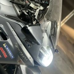 Александр Софьин, Пермь