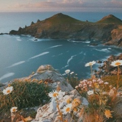 Акбота Сергазина, 13.04, Алматы