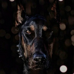 Анатолий Токарев, 12.07.1947, Москва