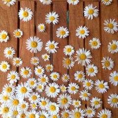 Эльмира Шерматова, 21.03, Москва