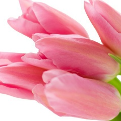 Vladirena Kondratieva, 25.02, Санкт-Петербург