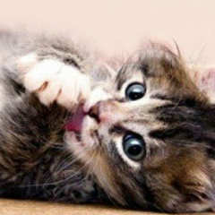 Азиза Сансызбаева, 05.09