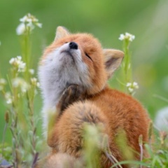 Евгения Лисицына, 01.06