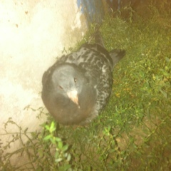 Жека Исак, 10.10.1992, Кишинев