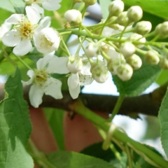 Гузалия Галимова, 24.10