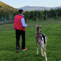 Олег Сергеевич, 02.08, Ялта