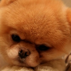 Дмитрий Юхневич, 10.10.1983