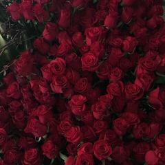 Каныкей Маматалиева, 20.02, Шымкент