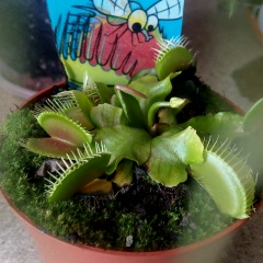 Евгений Ирклиевский, 03.02.1986, Черкассы