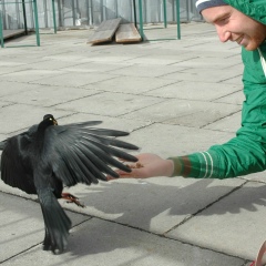 Кирилл Уразов, 16.12.1986, Самара
