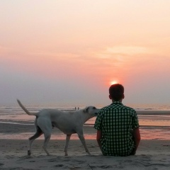 Антон Свининых, 03.07