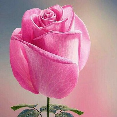 Перизат Садыкова, 31.07, Астана