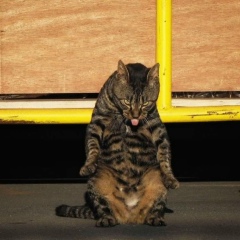 Нюша Еремеева, 09.10, Санкт-Петербург