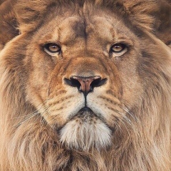 Азамат Паранук, 29.03.1994, Майкоп