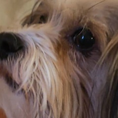 Станислав Семёнов, 28.01.1982, Санкт-Петербург