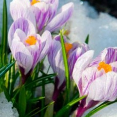 Фания Макеева, 22.04, Казань