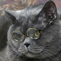 Евгений Юнусов, 20.05, Алматы