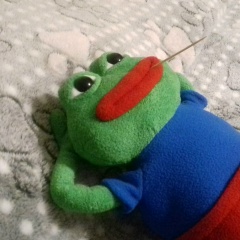 Max Disendorf, Hamburg