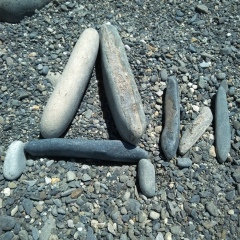 Дина , Санкт-Петербург