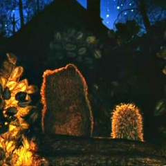 Ольга Иоффе, 31.08