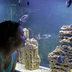 Диана Летягина, 04.03.1990, Новосибирск