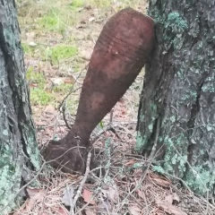 Demon Веремейчук, 22.07, Санкт-Петербург