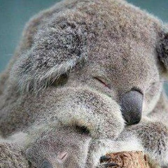 Наталья Мойсеенко, 22.04, Киев