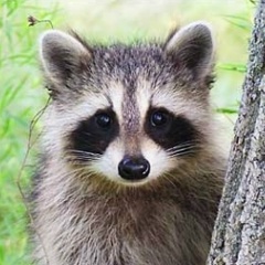 Максим Новиков, 26.07.1982