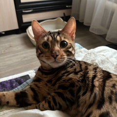 Ксения Исаева, 06.02.1991, Бежецк