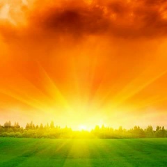 Омирбек Анкий, 06.12.2002